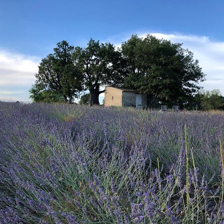 Cabanon Du Berger Villa Saignon Eksteriør billede