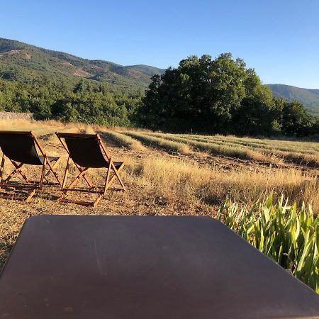 Cabanon Du Berger Villa Saignon Eksteriør billede