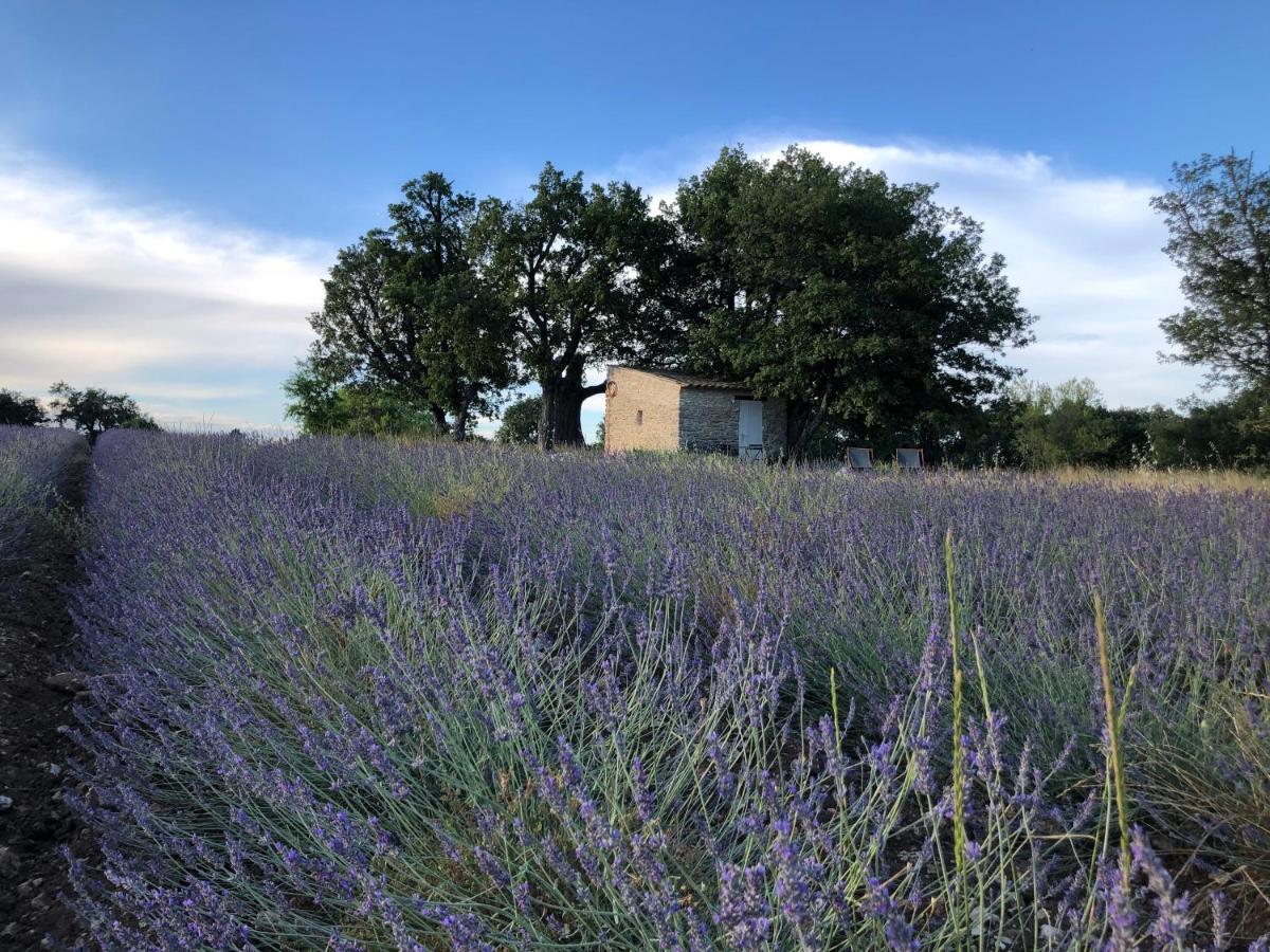 Cabanon Du Berger Villa Saignon Eksteriør billede